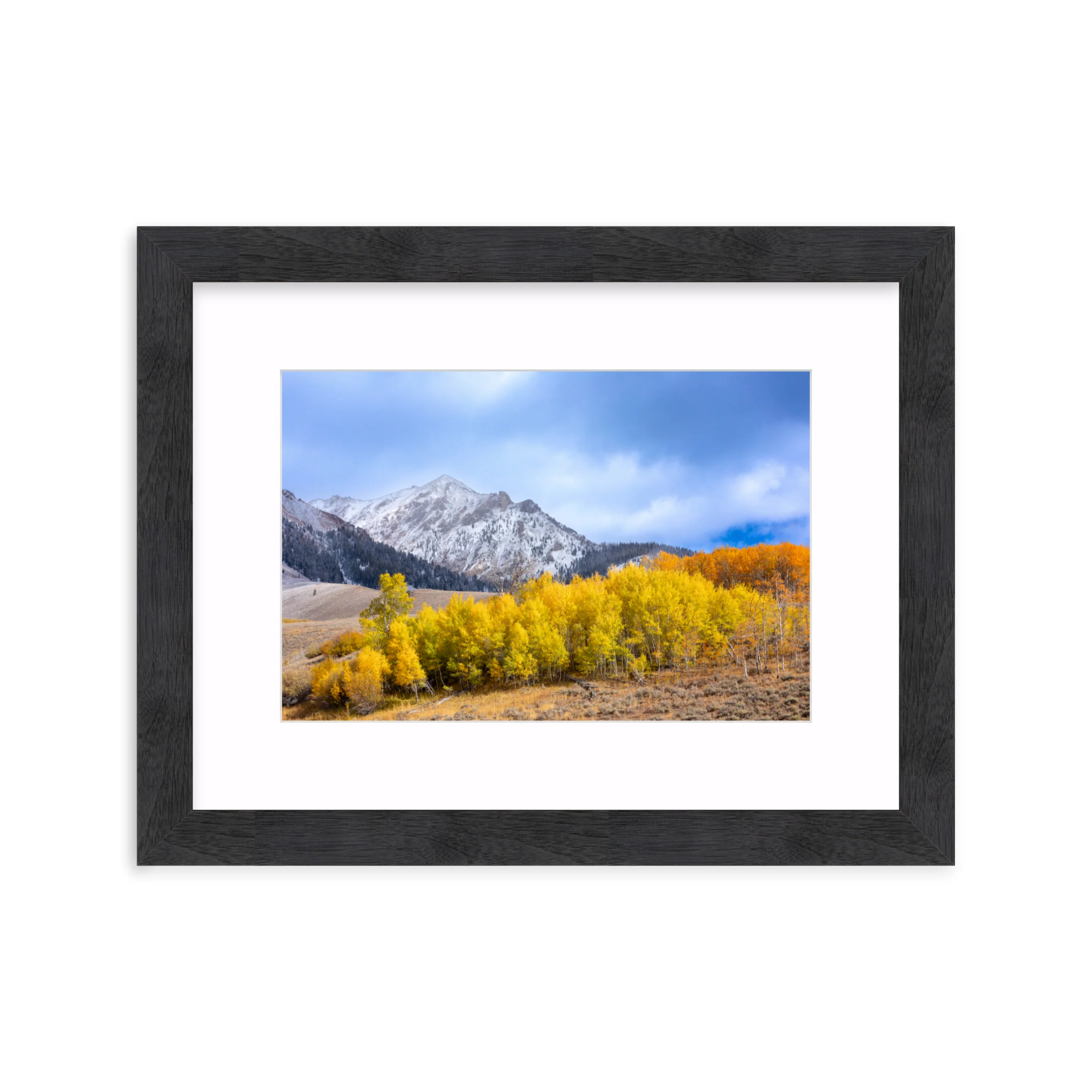 Thumbnail 15